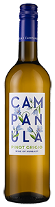 Campanula Pinot Grigio 2023