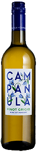 Campanula Pinot Grigio 2024
