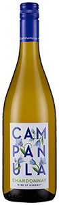 Campanula Chardonnay 2023