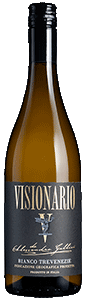 Visionario 2024