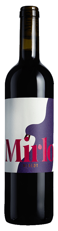 Mirlo Merlot 2024